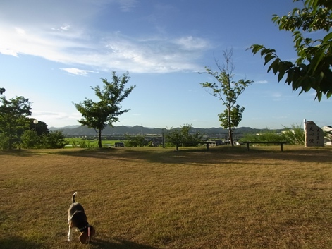 c0205806_192316100.jpg
