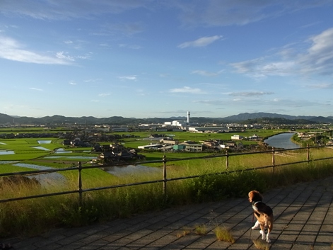 c0205806_1924893.jpg