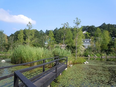 c0117007_22145633.jpg