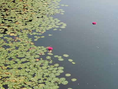 c0117007_22153075.jpg