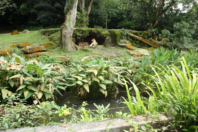 d0125208_1121793.jpg