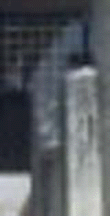 e0103408_17393329.gif