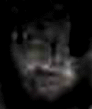 e0103408_17414388.gif