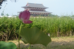 f0221708_0105145.jpg