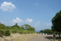 f0221708_071899.jpg