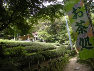 b0183911_21144013.jpg