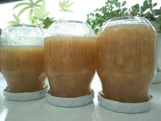 d0169613_1932734.jpg