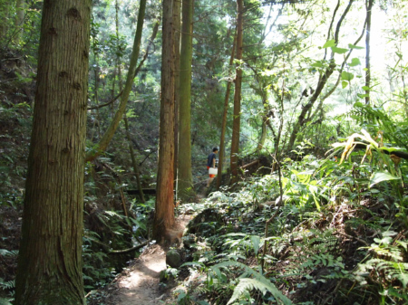 c0175715_17365744.jpg