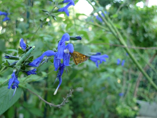 c0214615_16491981.jpg