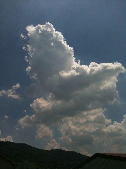 e0053816_1345327.jpg