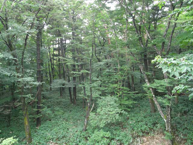 e0049318_237249.jpg