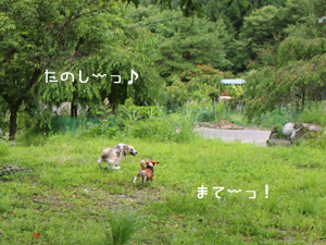 c0012120_22103466.jpg