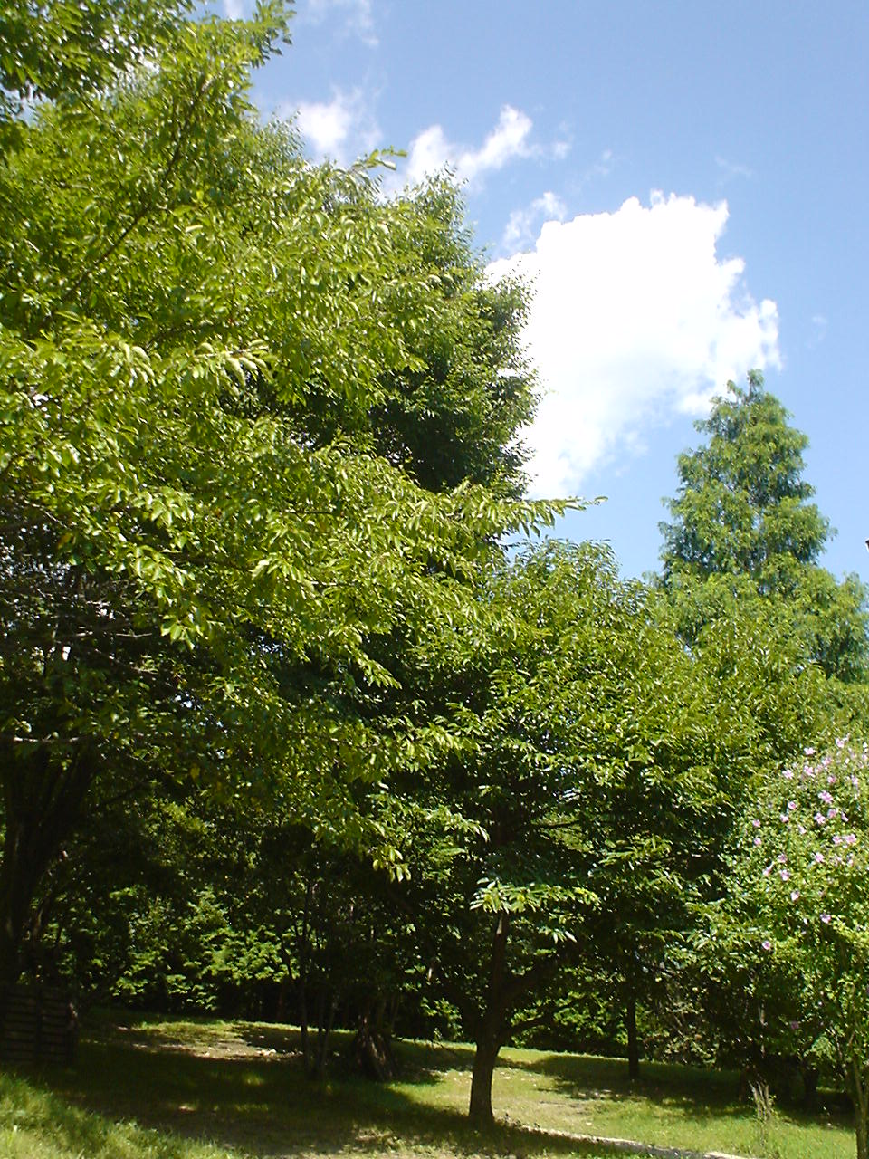 c0150520_211854.jpg