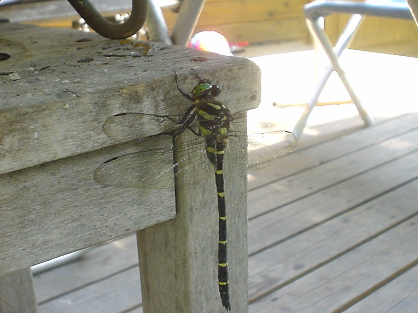 c0150520_21293439.jpg