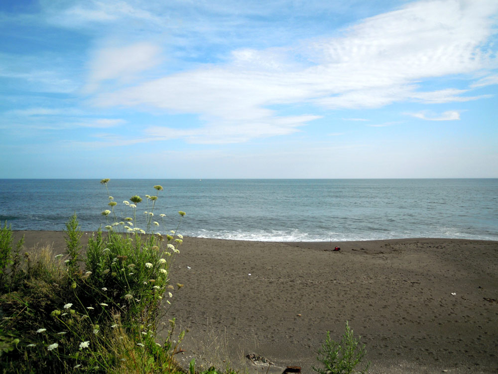 e0037129_23361723.jpg