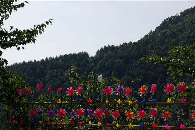 e0121329_0163764.jpg