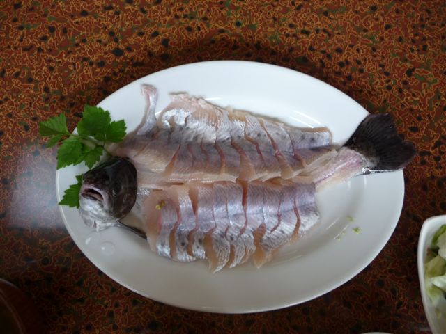e0121329_053371.jpg