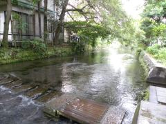 f0202535_10442421.jpg