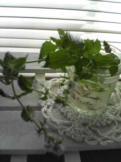 f0237037_1022428.jpg