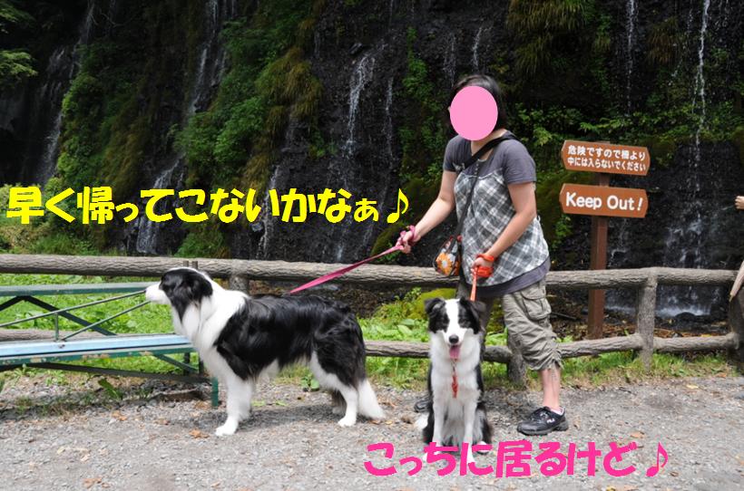 c0147241_21111520.jpg