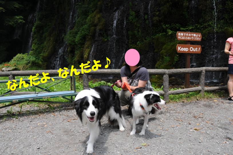 c0147241_2111256.jpg
