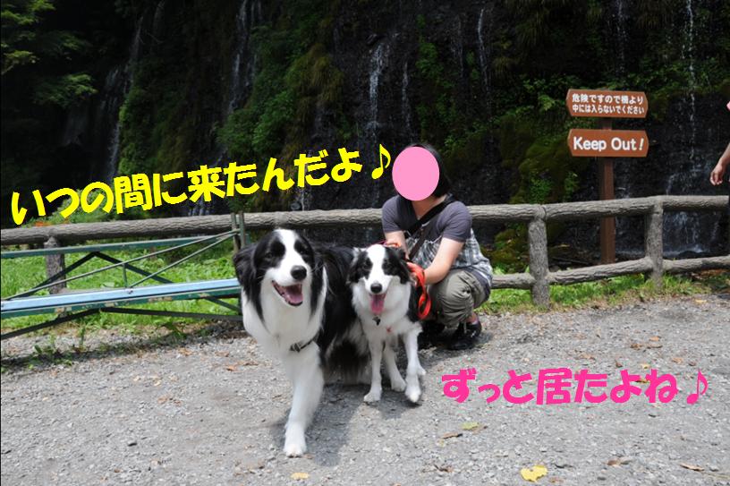 c0147241_21113442.jpg