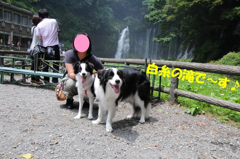 c0147241_21123769.jpg