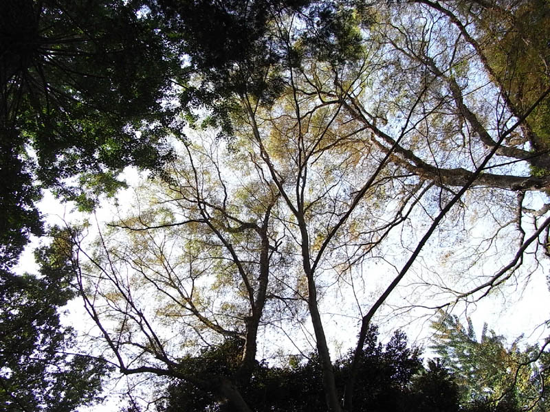 f0184244_19415290.jpg