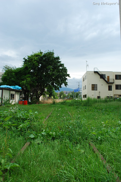 f0166545_2227481.jpg