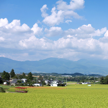 d0008146_18292399.jpg