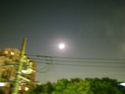 f0046250_1825545.jpg