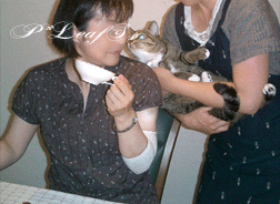 c0176651_1632096.gif
