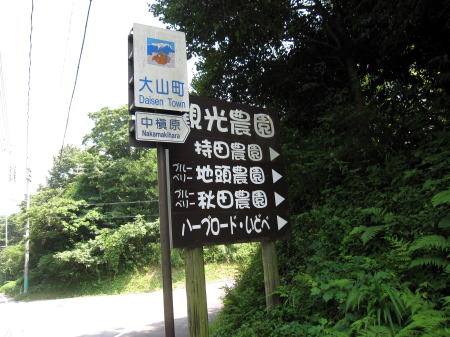 c0147952_21145524.jpg