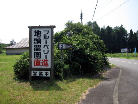 c0147952_21153371.jpg