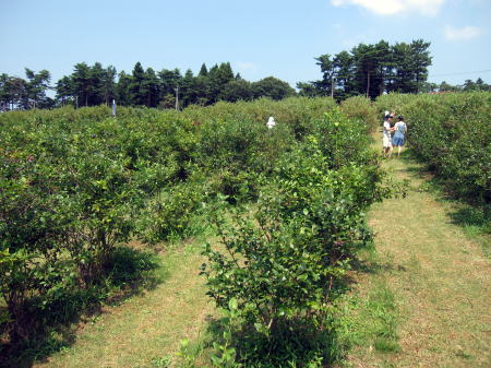 c0147952_21245863.jpg