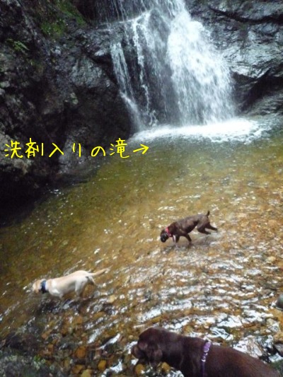 f0177261_1019589.jpg