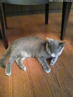 c0200365_23494727.jpg