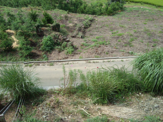 d0152765_21254025.jpg