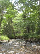 c0141268_13231315.jpg