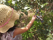 c0141268_1343407.jpg