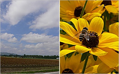 a0050669_11274263.jpg