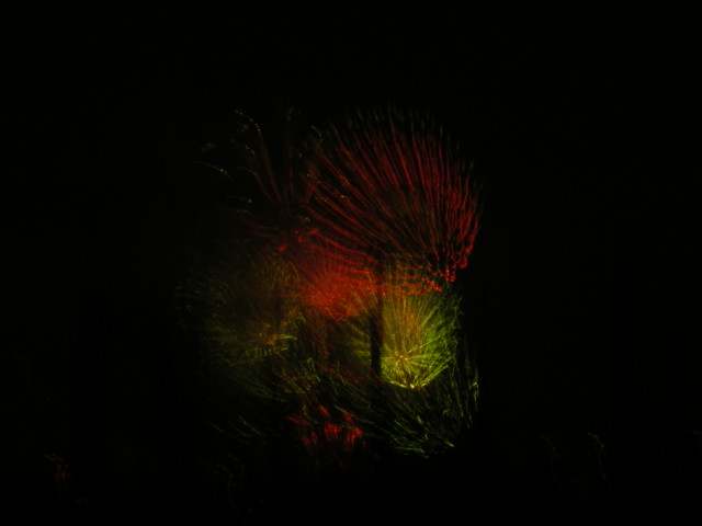 e0076879_2233467.jpg