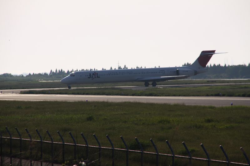 c0148781_219181.jpg