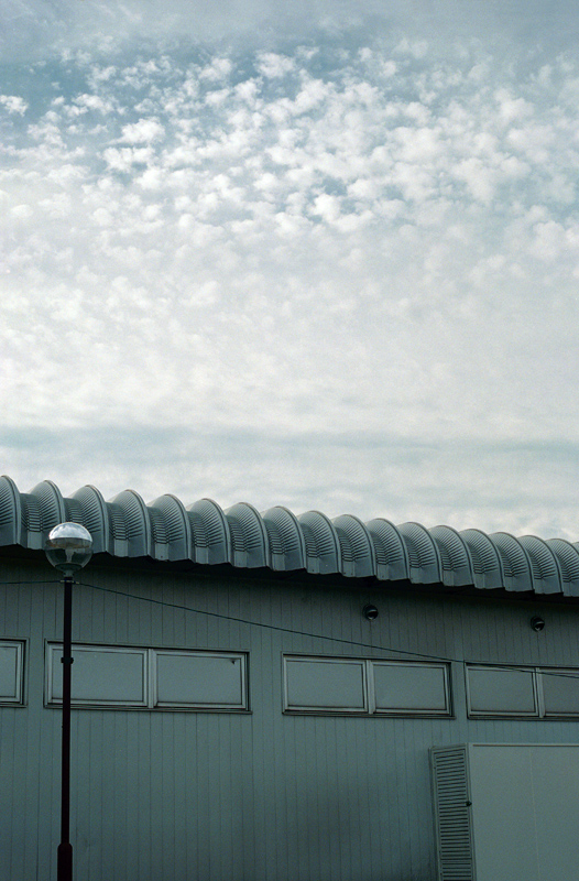 a0141385_8482397.jpg
