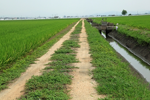 e0190885_1312155.jpg
