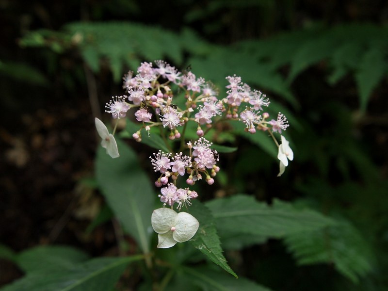 b0108186_005571.jpg