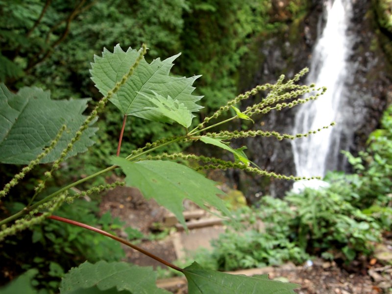 b0108186_024366.jpg