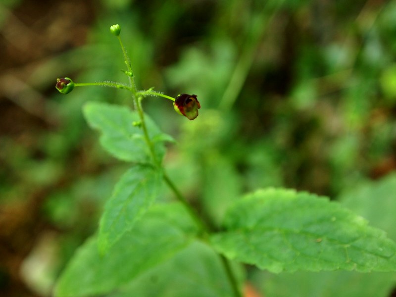 b0108186_22453241.jpg