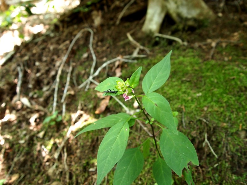 b0108186_22505476.jpg