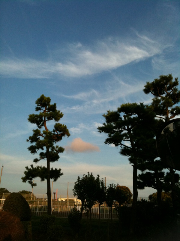 e0032686_00377.jpg